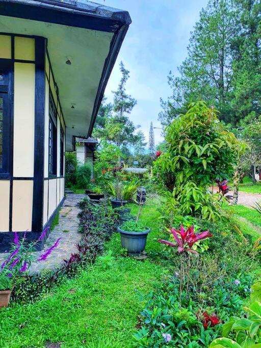 Designer Villa Osaka Puncak Luaran gambar