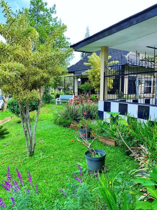 Designer Villa Osaka Puncak Luaran gambar